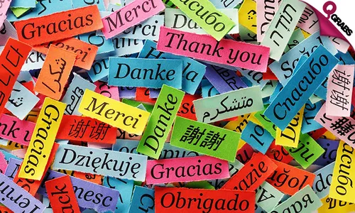 FIVE Languages Online Course from Lerni - 3, 6 or 12 months!